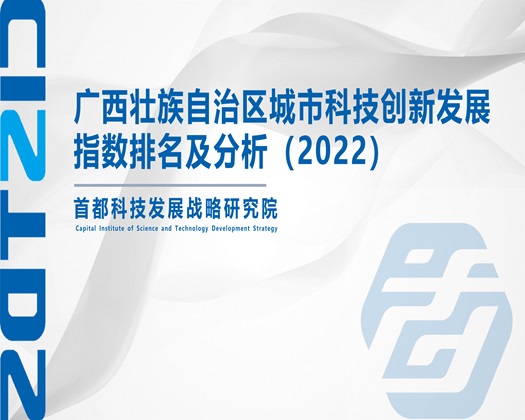 大胸嫩模被操弄嗷嗷叫【成果发布】广西壮族自治区城市科技创新发展指数排名及分析（2022）